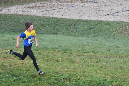 DSC 6952 (1) (1)