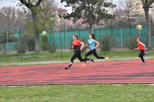 DSC 2036
