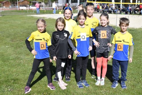 Robi-Team